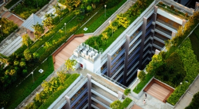 green-roofs-GROUND_TEC – 4